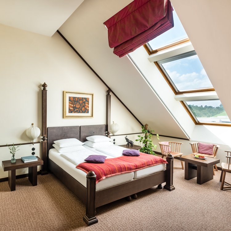 Attic Room at Park-Hotel Hagenbeck – Sunlit African-Inspired Comfort with a View